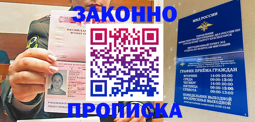 прописка в районе школы в Ковылкино